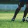 Soccer player action on the stadium